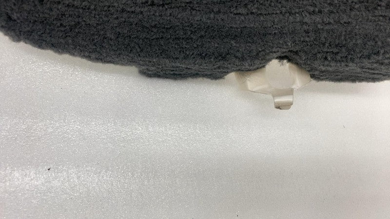 ⭕2022-2024 Lucid Air Grand Touring Front Left Carpet Side Panel LH P11