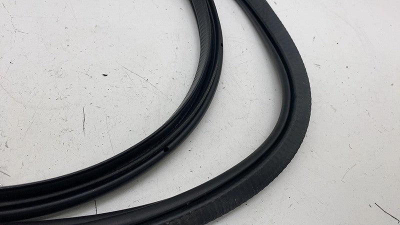 ⭕ 21-23 Polestar 2 Rear Driver Side Door Body Weatherstrip Seal Left L