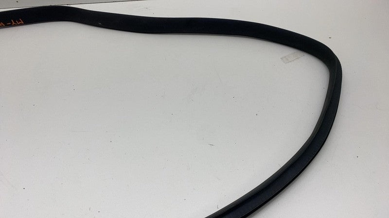 2020-2023 Tesla Model Y Rear Passenger Right Door Body Weatherstrip Rubber Seal