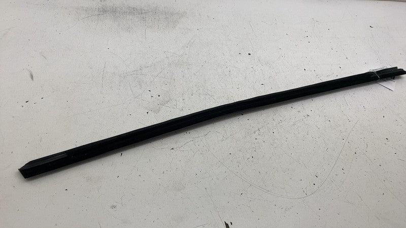 ⭕ 2024-2025 Tesla Model 3 Rear Left or Right Door Window Seal Molding 