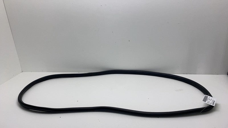 2020-2023 Tesla Model Y MY Front Driver Left Door Body Weatherstrip Rubber Seal