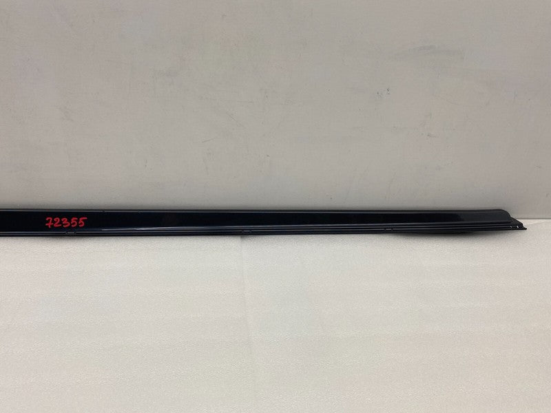 101221500G ⭕ 12-25 Model S Driver Side Rocker Panel Scuff Plate Molding Left 1012215-00-G