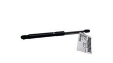 ⭕ 2017-2023 Tesla Model 3 Rear Right Trunk Lid Tailgate Shock Strut 1551489-00-B