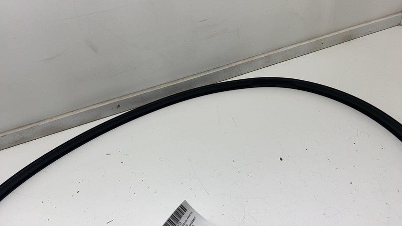 ⭕ 2020-2022 Tesla Model Y MY Driver Side Body Header Seal Left LH 1497