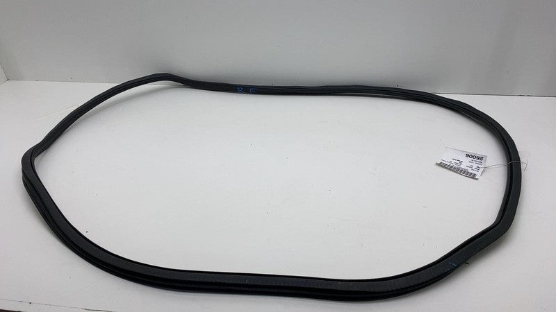 2019-2021 BMW 530e G30 Front Passenger Side Door Weatherstrip Rubber S