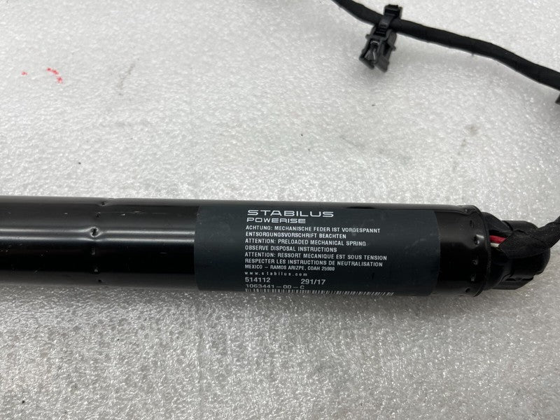 106344100C ⭕ 16-25 Model X Rear Left or Right Secondary Falcon Door Lift Strut 1063441-00-C