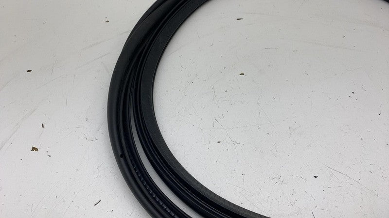 ⭕ 21-23 Polestar 2 Front Driver Side Door Body Weatherstrip Seal Left 