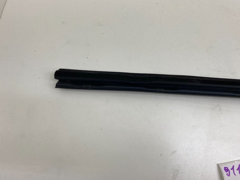 ⭕ 2012-2020 Tesla Model S Rear Left Door Inner Belt Seal Body Closure 