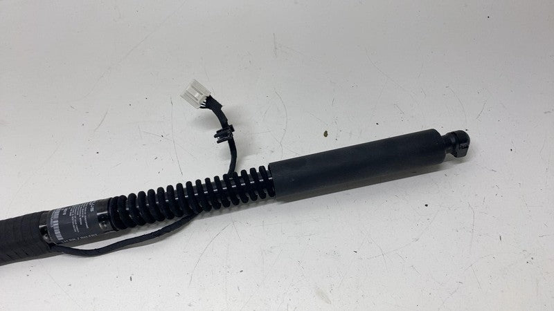 ⭕ 16-23 Model X Rear Left / Front Right Primary Door Lift Gas Strut 10