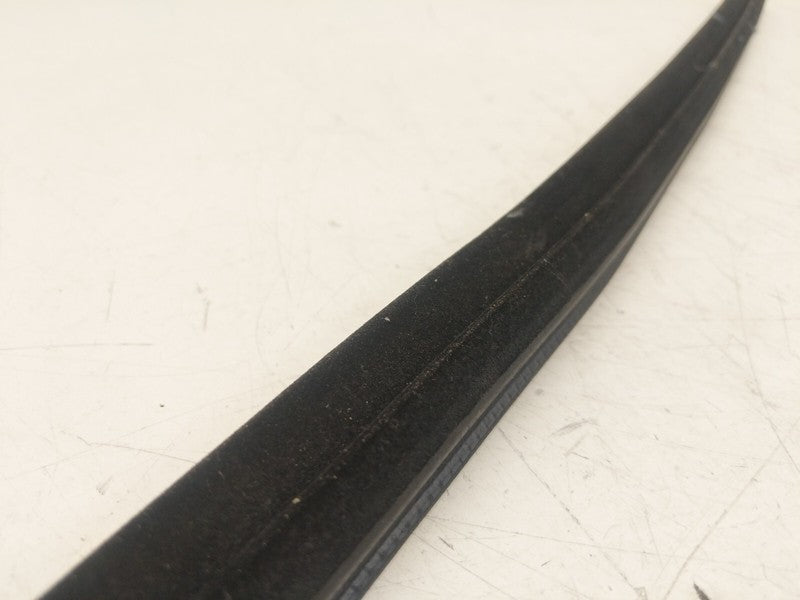 ⭕ 12-20 Tesla Model S Front Left Door Window Inner Belt Rubber Seal 10
