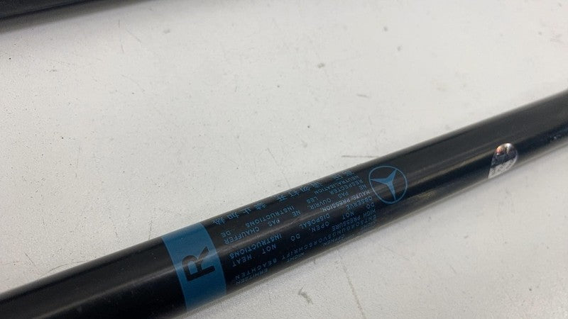 A2429800564 ⭕ 14-17 Mercedes-Benz B-Class Front Left & Right Hood Strut Damper A2429800564