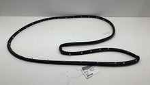 ⭕ 2021 2022 2023 2024 Ford Mustang Mach-E Front Door Weatherstrip Seal OEM