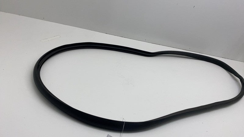 2020-2023 Tesla Model Y Rear Passenger Right Door Body Weatherstrip Rubber Seal