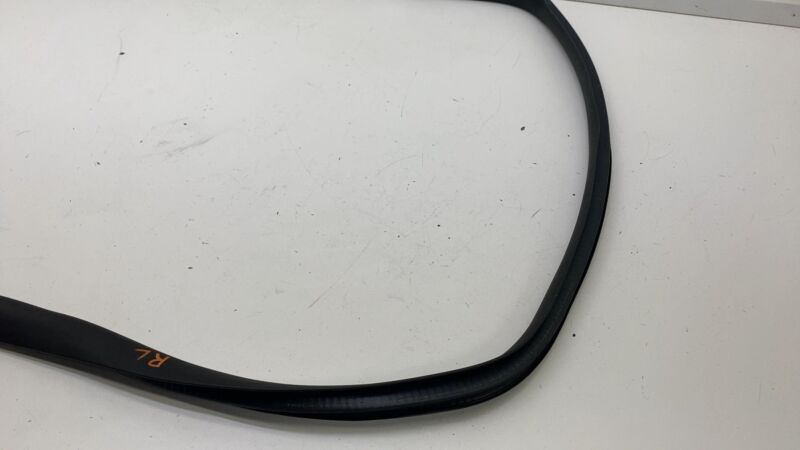 ⭕2020-2023 Tesla Model Y Rear Passenger Door Body Weatherstrip Rubber Seal Right
