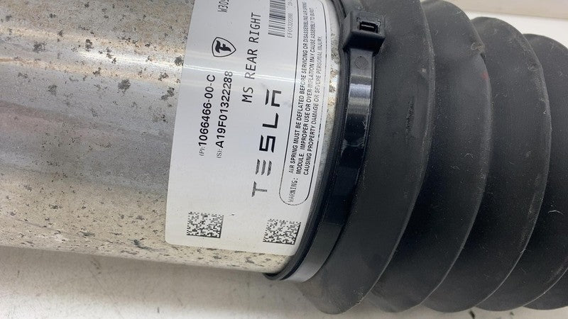 106646600C ⭕ 2019-2020 Tesla Model S Rear Suspension Air Spring Module Right 1066466-00-C