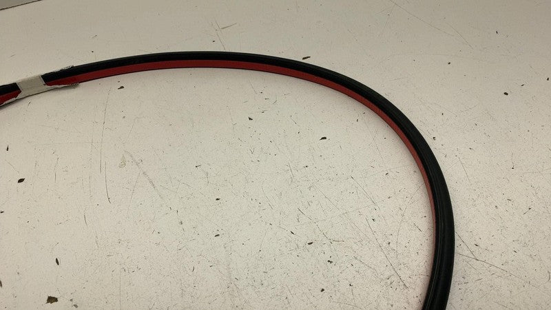 ⭕ 16-25 Tesla Model X MX Front Driver Side Door Secondary Seal Left 15