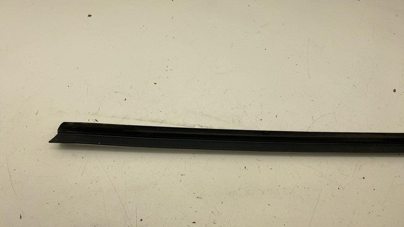 ⭕16-20 Tesla Model S Front Passenger Side Door Window Belt Molding Rig