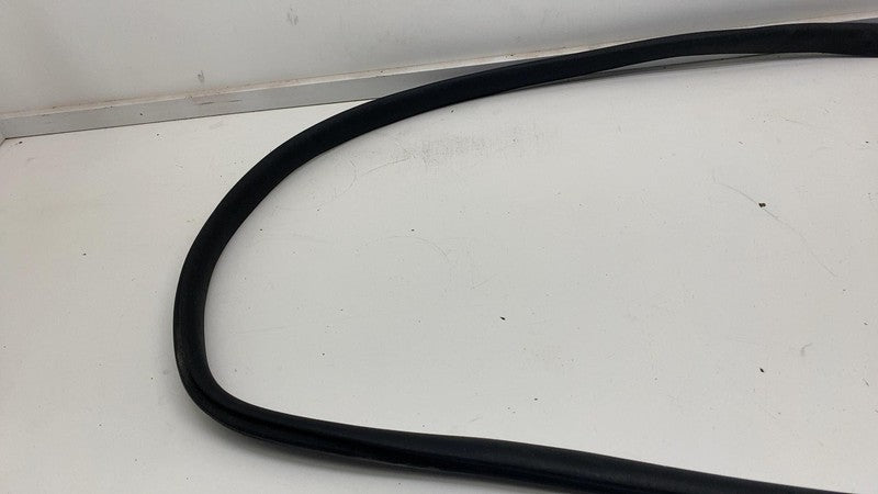 ⭕ 20-23 Tesla Model Y Rear Driver Side Door Body Weatherstrip Rubber S