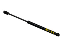 ⭕ 16-23 Model X MX Front Left or Right Bonnet Hood Lift Gas Strut 1033879-00-B