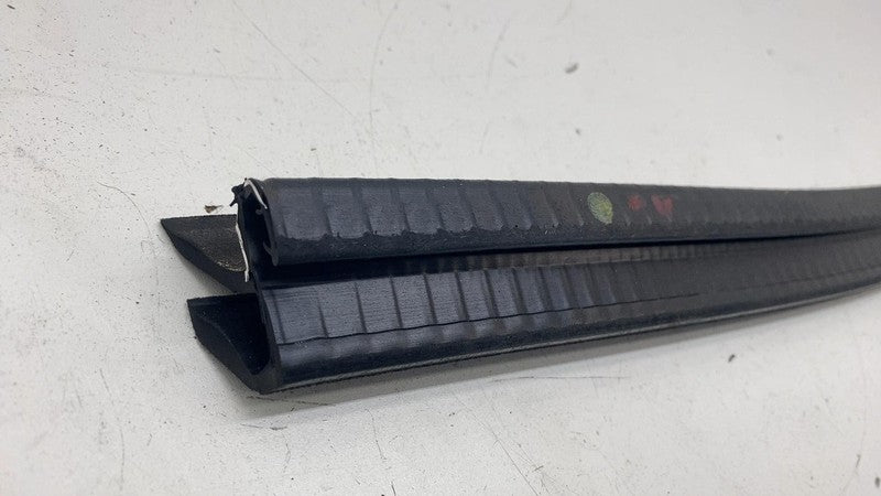 ⭕ 19-25 Chevy Silverado 1500 Front Left Door Window Weatherstrip Seal 
