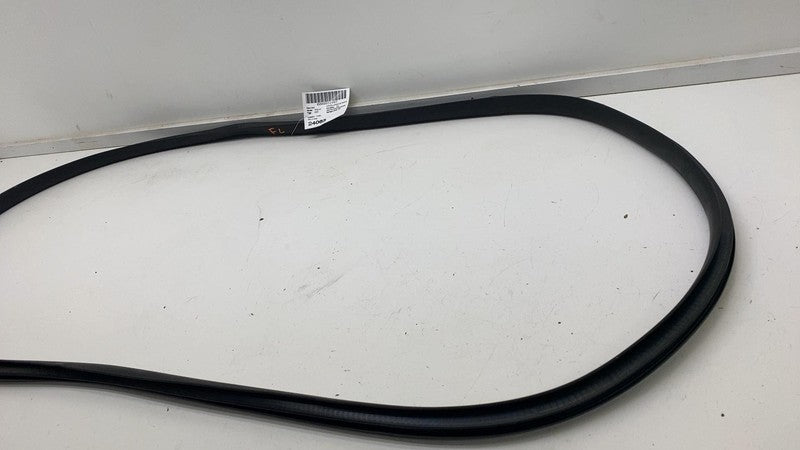 ⭕ 2020-2023 Tesla Model Y Front Driver Left Door Body Weatherstrip Rub