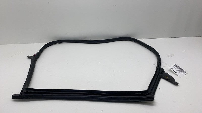 2017-2023 Tesla Model 3 Rear Driver Side Left Door Primary Weatherstrip Seal OEM