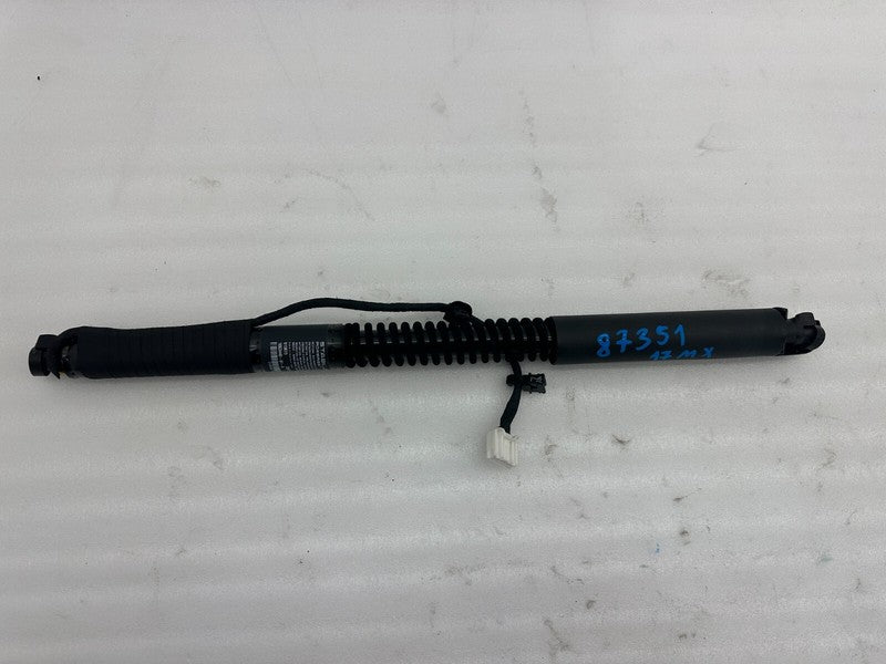 106344001D ⭕ 2016-2023 Model X Front Left/Rear Right Primary Falcon Door Strut 1063440-01-D