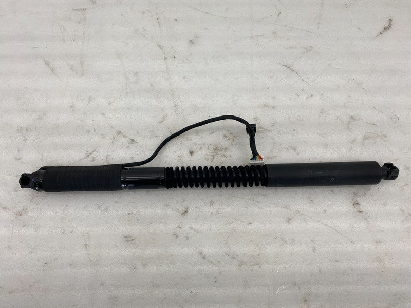 ⭕ 16-25 Model X MX Rear Left/Front Right Primary Falcon Door Strut 106