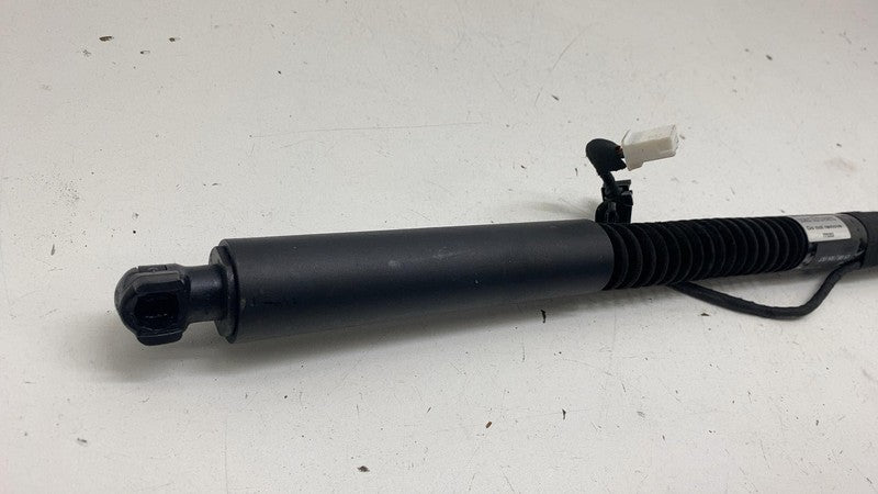 ⭕ 2016-2024 Model X Rear Left/Front Right Primary Falcon Door Strut 10