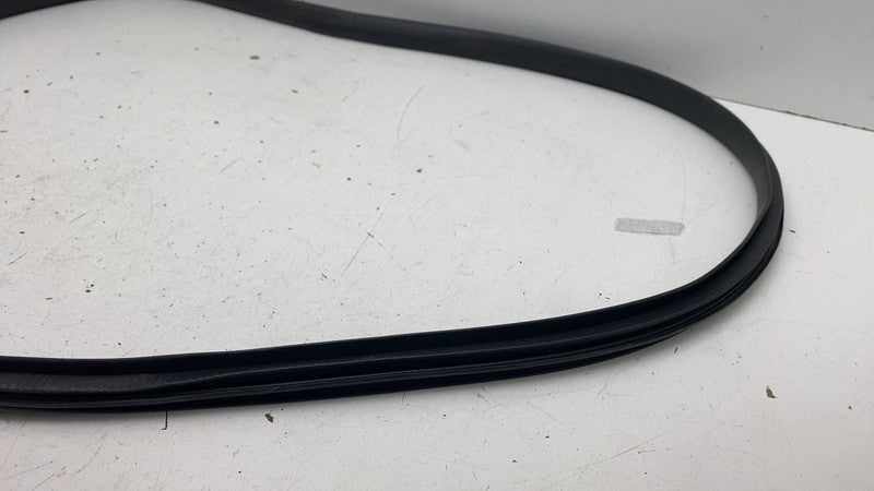 ⭕ 20-26 Tesla Model Y Rear Door Body Weatherstrip Rubber Seal Left 199