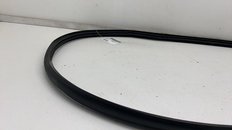 ⭕ 2020-2023 Tesla Model Y Front Driver Left Door Body Weatherstrip Rub