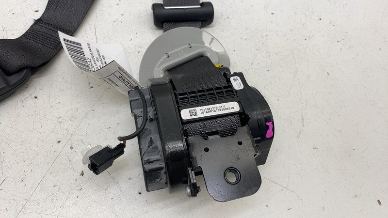 108127901F ⭕ 2017-2023 Tesla Model 3 Front 1st Row Seat Belt & Retractor Right 1081279-01-F