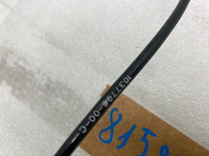 103779600C ⭕ 12-20 Model S  Rear Left/Right Intelligent ABS Wheel Speed Sensor 1037796-00-C