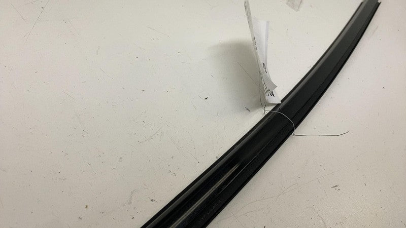 ⭕ 21-24 Ford Mustang Mach-E Rear Passenger Side Door Window Belt Molding Right