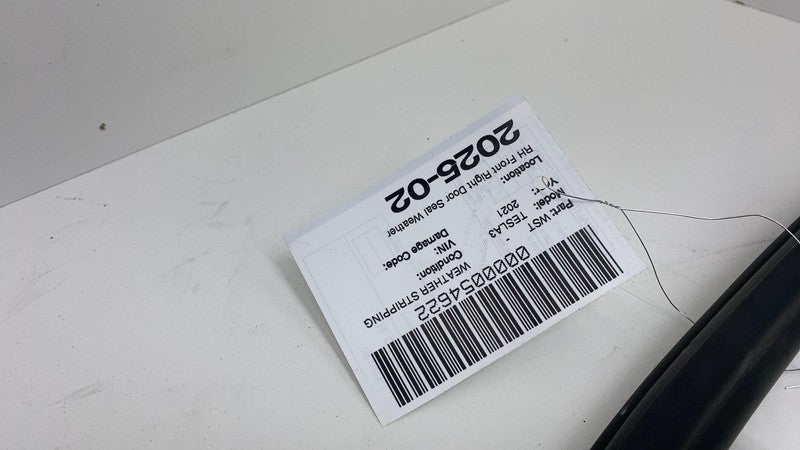 2017-2023 Tesla Model 3 Front Passenger Door Primary Weatherstrip Seal