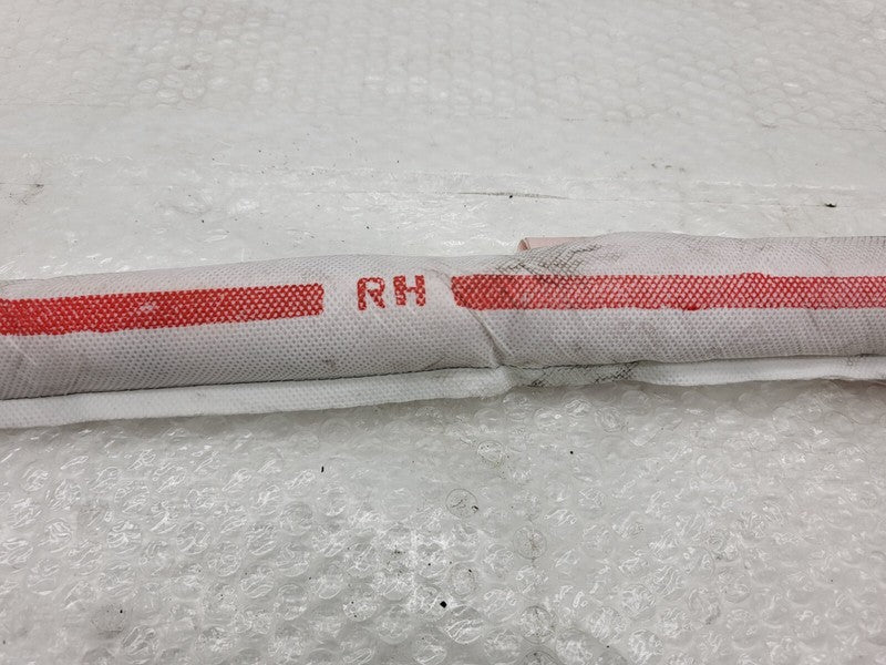 1005262 00 D ⭕ 2012-2020 Tesla Model S Roof Curtain Safety Airbag Right Side OEM 1005262-00-D