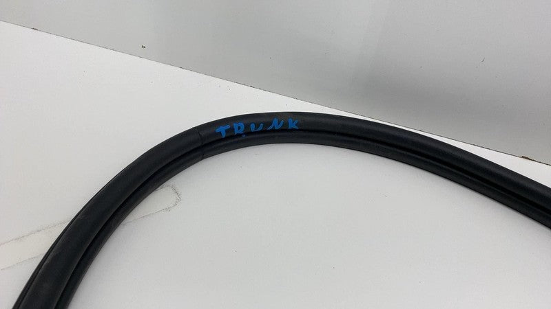 2021 BMW 530e B46X Rear Trunk Lid Liftgate Body Weatherstrip Seal OEM 