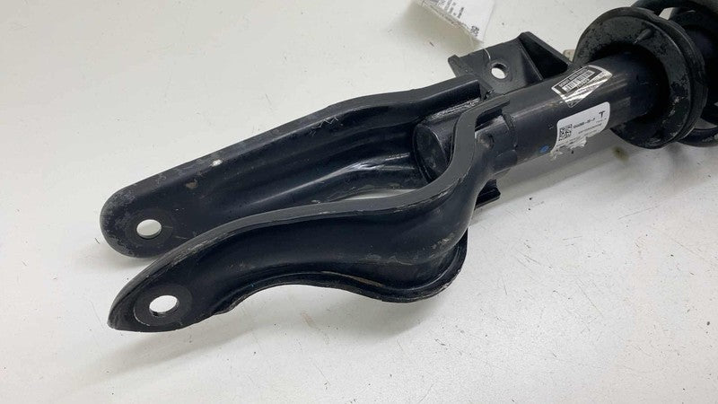 ⭕17-23 Tesla Model 3 Front Passenger Shock Strut Absorber Right OEM 10