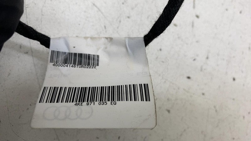 4KE 971 035 ⭕ 19-23 Audi E-Tron Front Left Driver Side Door Wire Wiring Harness 4KE971035