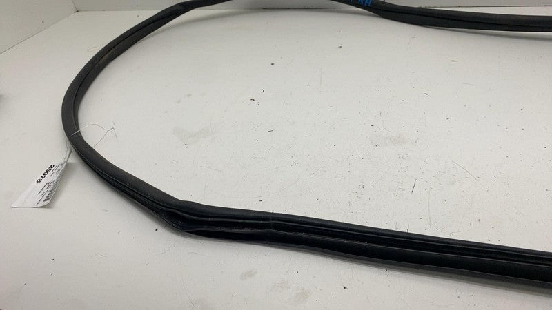 68291607 ⭕ 2019-2025 Ram 1500 Front Right Door Body Weatherstrip Rubber Seal OEM 68291607