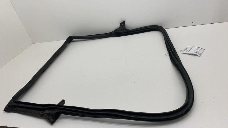 2017-2023 Tesla Model 3 Rear Driver Side Left Door Primary Weatherstri