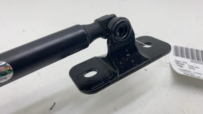 ⭕ 2024-2025 Model 3 Front Left or Right Active Hood Lift Gas Strut 164
