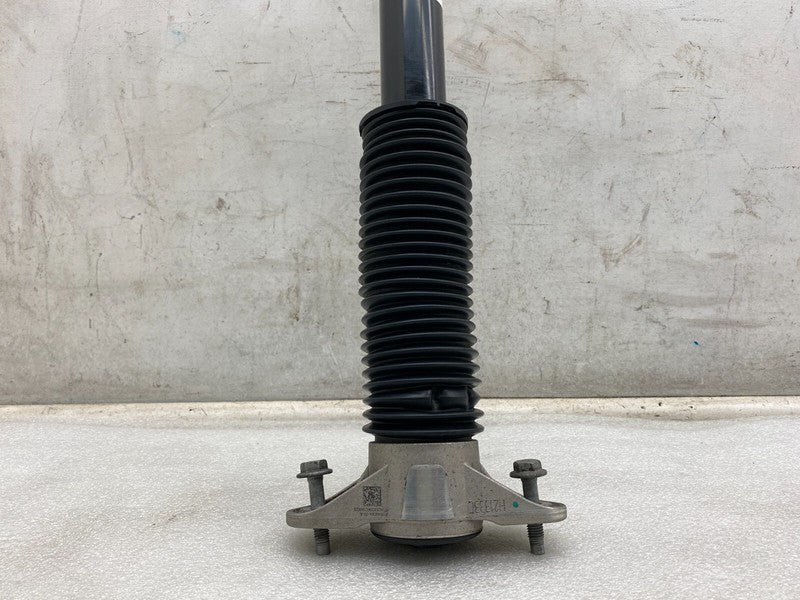 104446102E ⭕ 18-23 Model 3 Rear Left or Right Shock Strut Absorber Damper RWD 1044461-02-E
