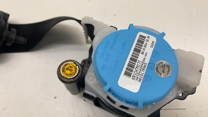 ⭕ 2014-2015 Mercedes-Benz B Electric Drive Rear Left Seatbelt & Retractor Assy