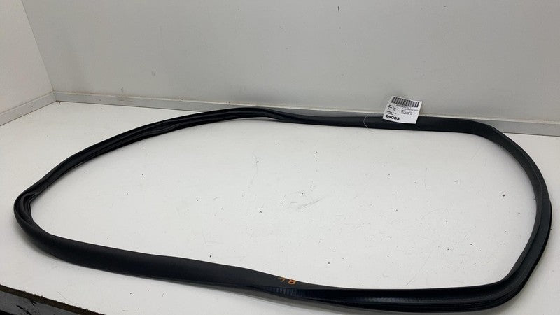⭕2020-2023 Tesla Model Y Rear Passenger Door Body Weatherstrip Rubber Seal Right