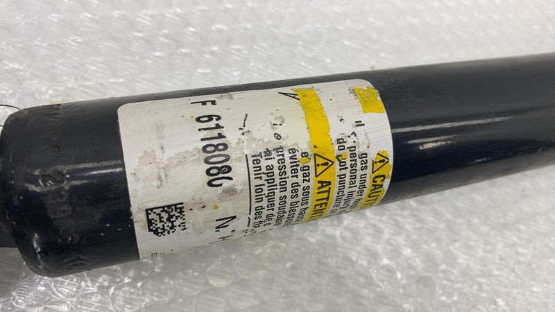 2013-2018 Ford C-Max Rear Driver Side Suspension Shock Strut Absorber Left FWD