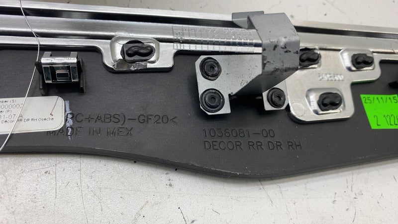 2016-2020 Tesla Model X SET of Front & Rear Left & Right Door Molding 