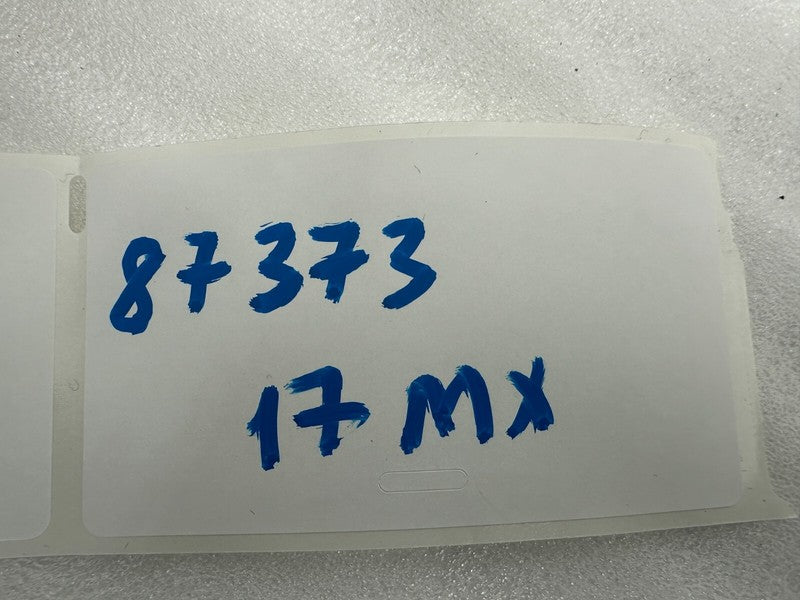 109231298D 16-20 Model X Right B-Pillar Applique Trim Molding w/ Camera & Seal 1092312-98-D