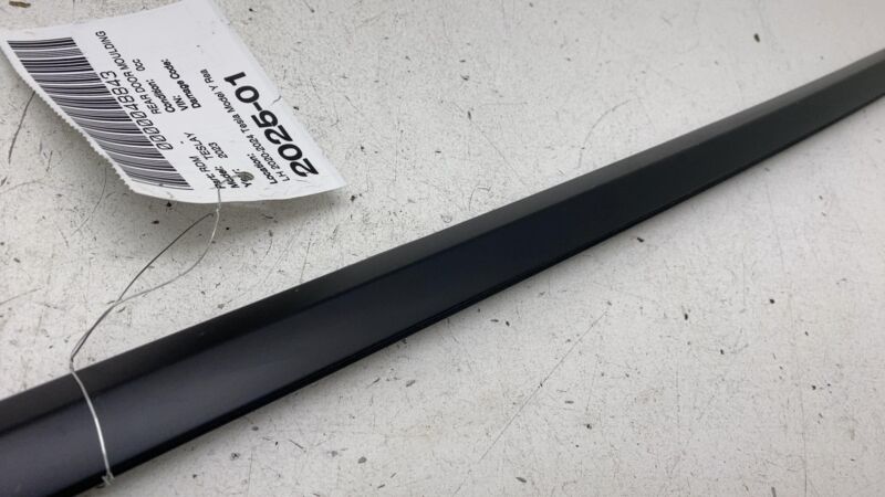 156223 2020-2024 Tesla Model Y MY Rear Driver Door Window Outer Belt Seal Molding Left