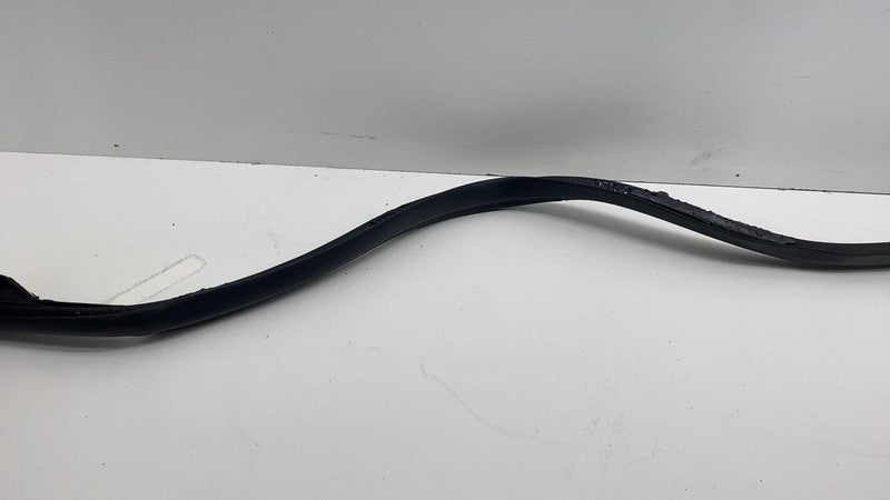2017-2023 Tesla Model 3 Front Passenger Door Primary Weatherstrip Seal Right RH